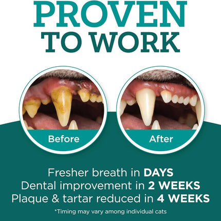 Twist + Lick Dental Gel for Cats, Cleans Teeth and Freshens Breath for 24 Hours, Cat Nip Flavor, 30 Day Supply