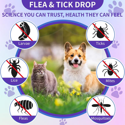 WEALLIN Flea and Tick Prevention for Cats and Dogs Natural Flea Treatment Support Drops with Multivitamin for Pets Oral Natural Supplement Flea and Tick Treatment Drops for All Breeds and Ages