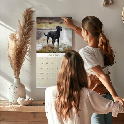 Black Labs Calendar 2026 – 16-Month Dog Breed Wall Calendar by MegaCalendars – Large Daily Blocks, Thick No-Bleed Paper, Made in USA
