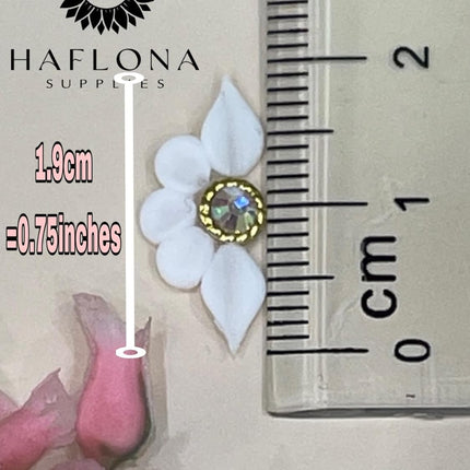 Set 10Pcs 3D Sweet Season Poinettia (5 Petals) Flower Nail Art Charms Handmade by Acrylic Powder Design Acrylic Nail Art for Women Girls (Black 15-10Pcs)