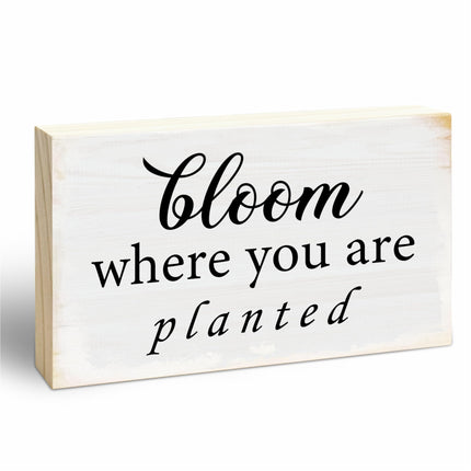 Everyday is a Gift Rustic Wooden Block Sign, 5x3 Inch Positive Inspirational Wood Plaque, Farmhouse Home Decor for Desk Tabletop Shelf, Housewarming Christmas Gift for Friends Family - A14