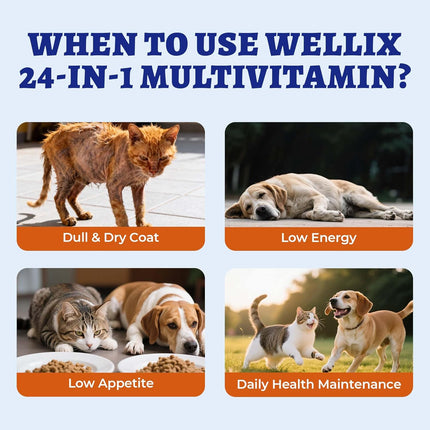 Wellix 4.06 FL oz 24-in-1 Liquid Multivitamin with Taurine for Dogs & Cats, Pet Vitamins and Supplements with Glucosamine, Cranberry, MSM, Probiotics - Itch&Allergy Relief, Joint Supplement for Pets