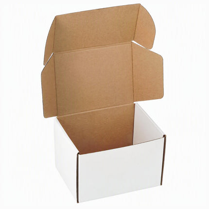 12"x9"x3" Shipping Boxes Set of 5, White Corrugated Cardboard Box Literature Mailer