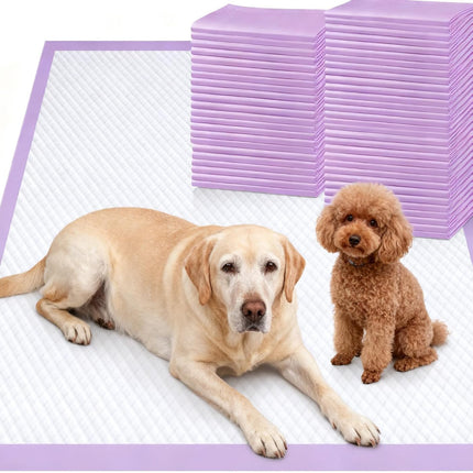 XL 6-Layer Ultra Absorbent 1200ml 48-Hour Leak-Proof Dog Pee Pads, Quick Dry Extra Large Puppy Pads for Puppy Training, Senior & Incontinent Dogs, Cats, Overnight Use, 28"x34", 30 Count