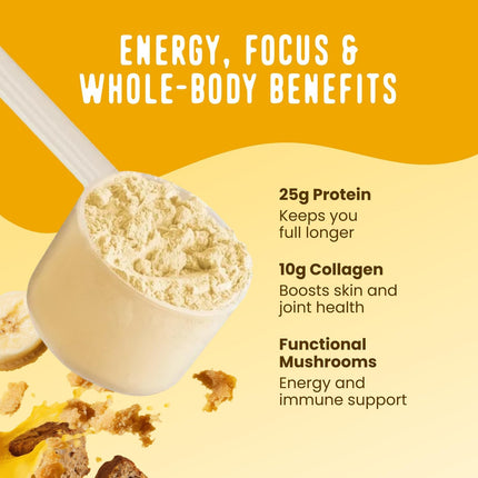 FlavCity All in One Protein Shake Powder, Banana Bread - On the Go Meal Alternative + Collagen Peptides, Reishi & Cordyceps - Focus, Skin, Hair & Joint Support - 100% Grass Fed Whey, 20 Servings