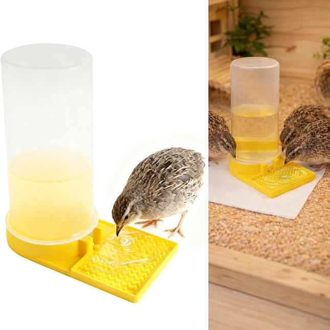 Ultra Leak-Proof Quail Chick Water Feeder – Premium Large Capacity, Non-Toxic & Durable, Ideal Button Quails Waterer, No-Spill Quail Coop & Poultry Supplies for Easy Hydration