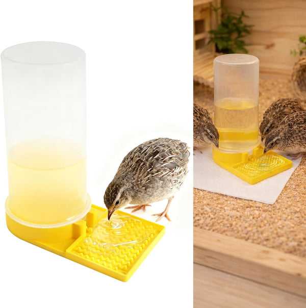 Ultra Leak-Proof Quail Chick Water Feeder – Premium Large Capacity, Non-Toxic & Durable, Ideal Button Quails Waterer
