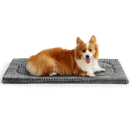 Cama lavable para perro mediano, tapete para jaula, 36x23 in. Almohadilla para perrera