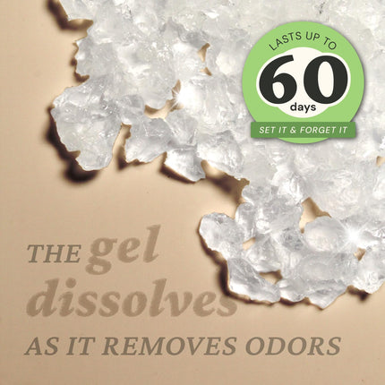 Gel eliminador de olores original 2Pk 15 oz - Ambientador para el hogar