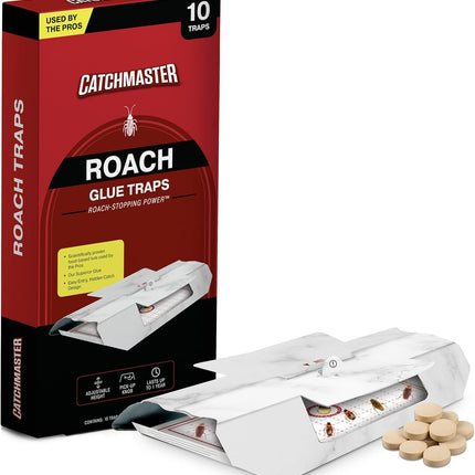 Dubia Roaches Medium Live Feeder Insects - Main View