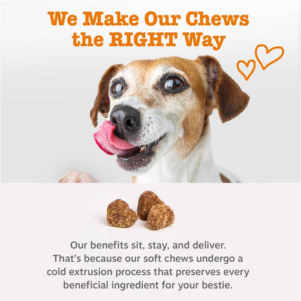 Zesty Paws Ancient Elements Allergy Immune Bites - Dog Allergy Chews, Dog Probiotics for Itchy Skin and Ears, Bison, 90ct