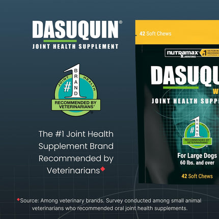 Nutramax Dasuquin for Large Dogs, Joint Health Supplement, Contains Glucosamine for Dogs, Plus Chondroitin, ASU, MSM and More, Supports Healthy Joints, Soft Chews, 42 Count