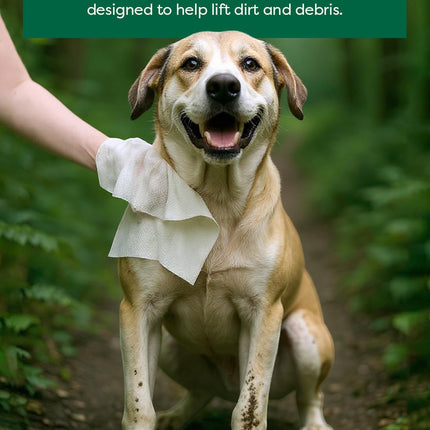 Earth Rated XL Pet Wipes for Dogs & Cats, Unscented Hypoallergenic, 60 Ct