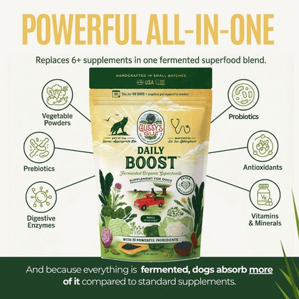 Gussy's Gut Daily Boost- Fermented Organic Superfood Reset & Reboot Dog Gut Health- Human Grade Pre & Probiotic Digestive Supplement- USA Made Small Batch 19 Ingredient Formula- Reset Phase (3 Oz)