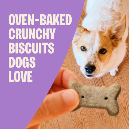 Wellness Old Mother Hubbard Classic Original Mix Dog Biscuits, Natural Training Treats, 4 Flavors, Small Size, 20 oz Bag