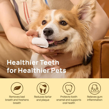 HICC Pet Teeth Cleaning Wipes for Dogs & Cats, Remove Bad Breath by Removing Plaque and Tartar Buildup, Disposable Dog Finger Toothbrush Gentle Pet Dental Care Wipes, 50 Counts, (Mentha Spicata Scent)