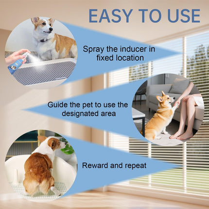Potty Training Spray for Dogs Dog Potty Training Spray Go Here Dog Potty Training Spray Address Canine Inappropriate Elimination Habits for Indoor & Outdoor Environments (Smoke Blue)