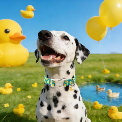 Maca Bates Cute Dog Collar with Rubber Duck Charm for Small Girl Boy Dogs, Green Yellow Ducks Pattern,Adjustable Durable Soft Plaid Collars Irish St. Patrick Gift for Male Female Puppy