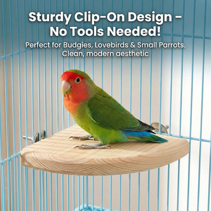 2 Pcs Bird Cage Platform Flat Bird Perch Platform Birds Perch Birds Cages Accessories Flat Fan Shape for Parakeet Conure Cockatiel Budgie Rat Chinchilla Gerbil Hamster (2 Size)