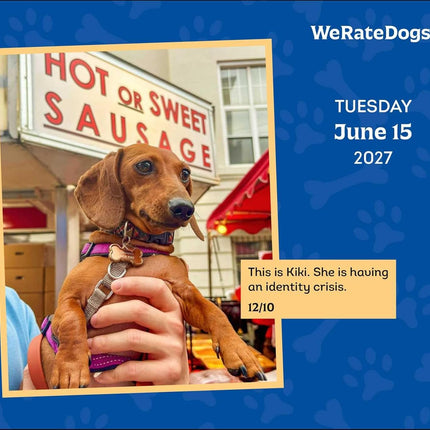 WeRateDogs 2027 Day-to-Day Calendar