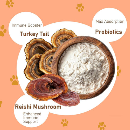 Lumiquor Turkey Tail for Dogs, Lumiqour Turkey Tail Mushroom Powder, Support Your Mature Dog’s Immunity, Gut, Skin, (1pcs)