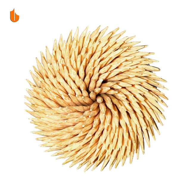 Sturdy Toothpick Holder with Natural Wood Toothpicks for Teeth Cleaning, Unique Home Design Decoration, Unusual Gift (2, Blue)