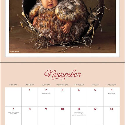 Anne Geddes 2027 Wall Calendar: Woodland Wonders