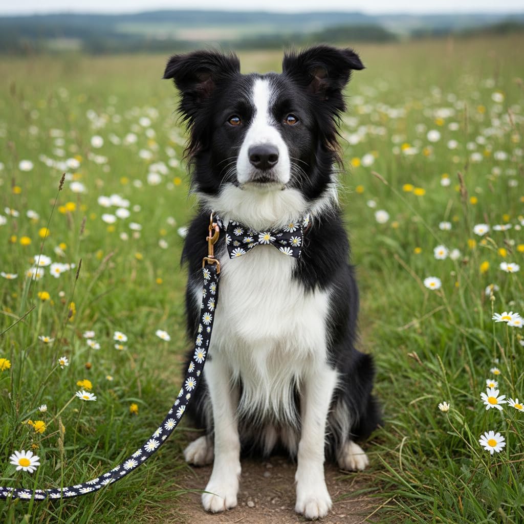 Personalized Dog Collar Daisy Print with Name & Phone Number - photo 2