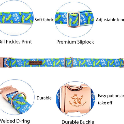 Elegant little tail Dog Collar, Blue Bear Pattern Pet Collar Durable Cute Dog Collars Male or Female Pet Gift Adjustable Dog Collar for Small Dogs