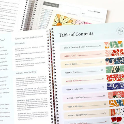 The Bible In A Year A 52-Week Study For Women–Spiral Bound Daily Scripture Reading & Reflection Guide–Chronological Devotional Journey One-Year Bible Companion