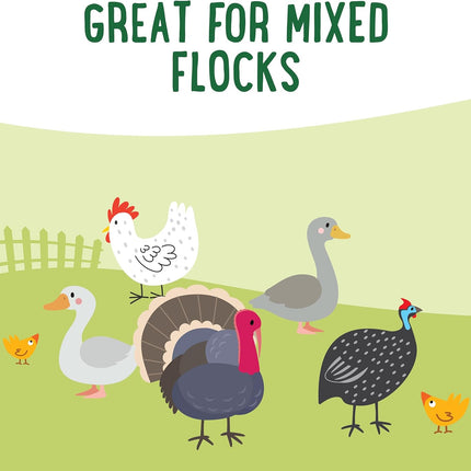 Manna Pro Farmhouse Favorites Feather Flair Poultry Treat, High Protein Chicken Treat with Methionine, Biotin & Thiamine, Supports Strong, Vibrant Feathers, for Chickens, Ducks, Turkeys & More, 2 lbs