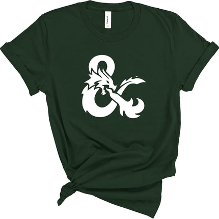 D&D Shirt, DM Shirt, D20 Tshirt