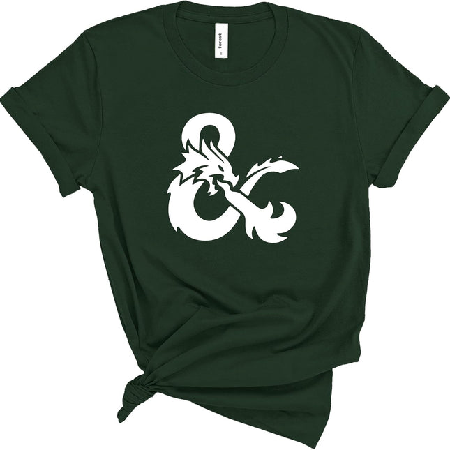 D&D Shirt, DM Shirt, D20 Tshirt