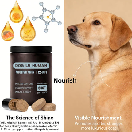 dog is human Multivitamin for Dogs-Healthy Skin & Coat, Aids Digestion & Boosts Immunity(60 Chews)