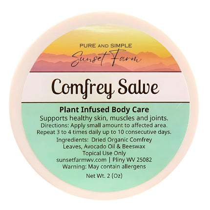 Comfrey Salve | Organic, Non-GMO, Small-Batch Herbal Balm | Family Made in WV | 2 oz Jar