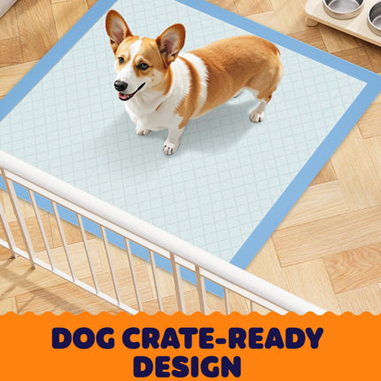 Puppy Pads, 22 x 22 in, Super Absorbent, Spill-Proof, 100 Packs