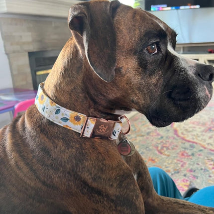 Elegant little tail Dog Collar, Sunflower Pattern Pet Collar Durable Cute Dog Collars Summer Fall Female Pet Gift Adjustable Dog Collar for Medium Dogs