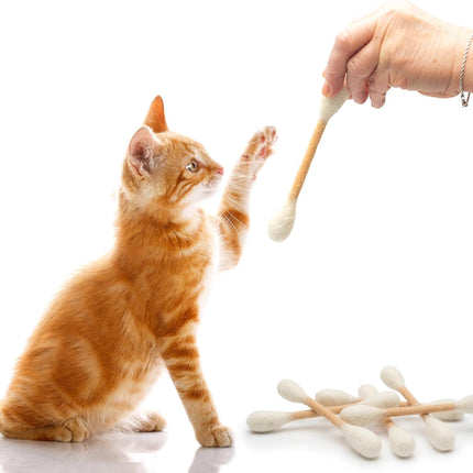 Glaciart One Swabs Cat Toys with Catnip - 12 Pk | Durable for Chew, Cute Cat Toys Interactive Kitty for Boredom, Exercise, & Play | Filled w/Organic Catnip for Anxiety & as Digestive Aid | Gift Idea