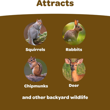Kaytee Backyard Wildlife Food Blend For Wild Squirrels, Chipmunks, Rabbits and Other Backyard Wildlife, 5 Pound
