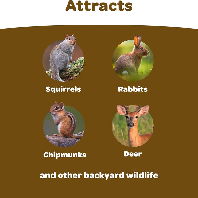 Backyard Wildlife Food Blend For Wild Squirrels - photo 2