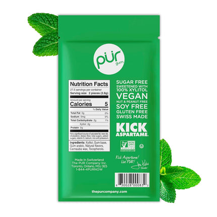 Gum | Aspartame Free Chewing Gum | 100% Xylitol | Natural Spearmint Flavored Gum, 55 Pieces (Pack of 1)