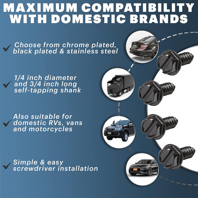 Rustproof License Plate Screws for US Domestic Vehicles