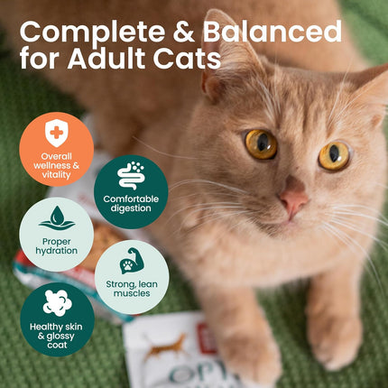 Optimeal Wet Cat Food Grain Free - Chicken Tender Morsels, High Protein Premium Nutrition Made with Natural European Ingredients, Adult Cat Pouches 3oz (Pack of 12)