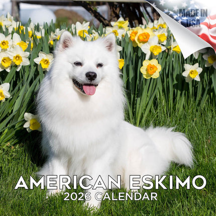 American Eskimo Calendar 2026 – 16-Month Dog Breed Wall Calendar by MegaCalendars – Large Daily Blocks, Thick No-Bleed Paper, Made in USA