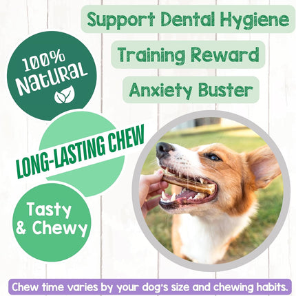 Nature Gnaws Small Bully Sticks for Dogs 5-6" (5 Count) - Long Lasting for Light Chewers and Puppies - Natural Thin Beef Dog Chew Bones - Rawhide Free