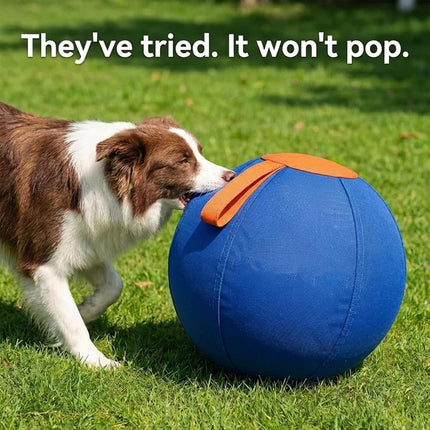 Ruckus Herding Ball, Herding Ball for Dogs, Extra-Large Enrichment Ball — Tear-Resistant, Includes Protective Cover and Air Pump, Available in Three Sizes to Suit All Dogs (color1, Medium)