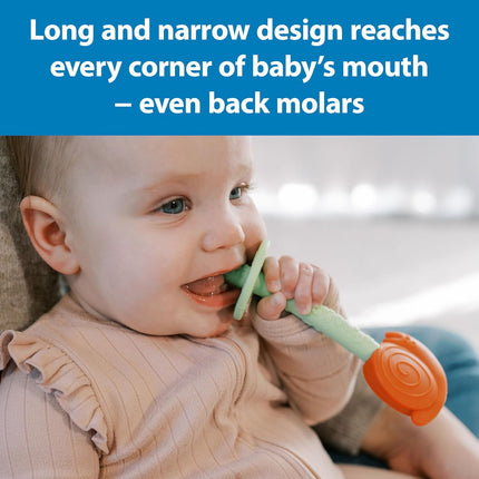 Dr. Brown's Teething Tubes for Babies, Bee and Snail, Massaging Silicone Teether Sticks, BPA Free, 3m+, 2-Pack