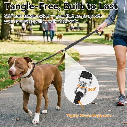 Slip Lead Dog Leash with Dual Handle, No Pull, Black, 6FT x 3/8"