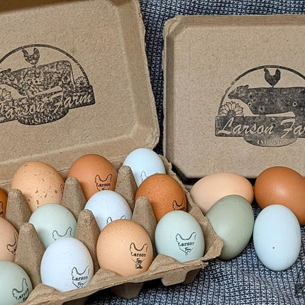 12ct Multiple Breed Chicken Hatching Eggs-NPIP Certified/AI Clean-BYM Read Full Description