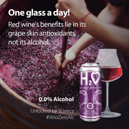 H2o Sauvignon Blanc – Silky & Smooth | 0.0% Alcohol Wine-Infused Sparkling Refreshment | Non-Alcoholic, Low Calorie, No Sugar Added | Backed by Scientific Research | 12 x 12 fl oz Cans